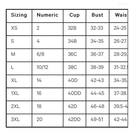 Unique Vintage Retro Rainbow Stripe High Waist Swim Bikini Bottom 1X NWOT - Picture 3 of 4